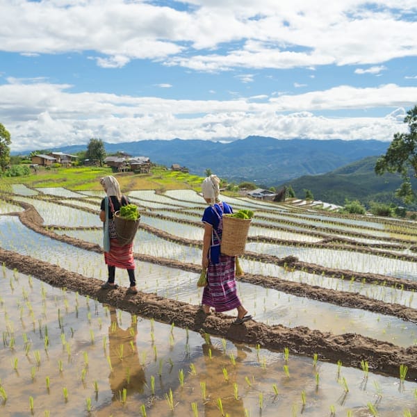 Thailand Adventure: From hill tribes to island-hopping