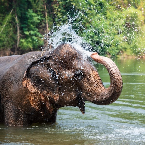 Thailand Adventure: Von Bergvölkern zum Inselhopping 