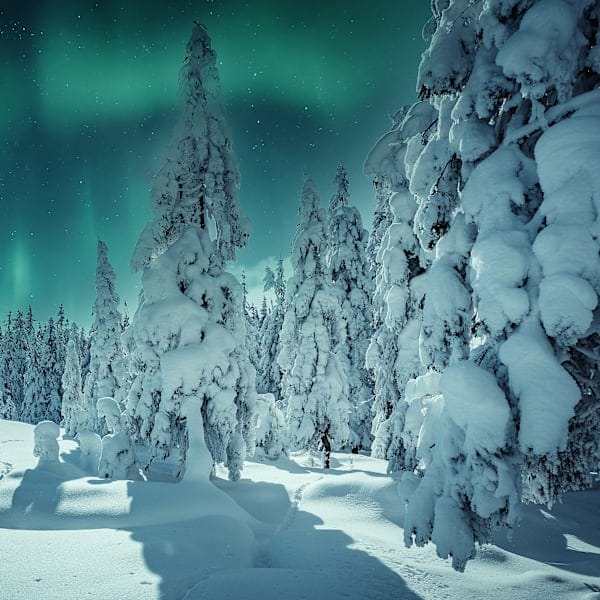 Finland Signature: Northern lights in a nature igloo