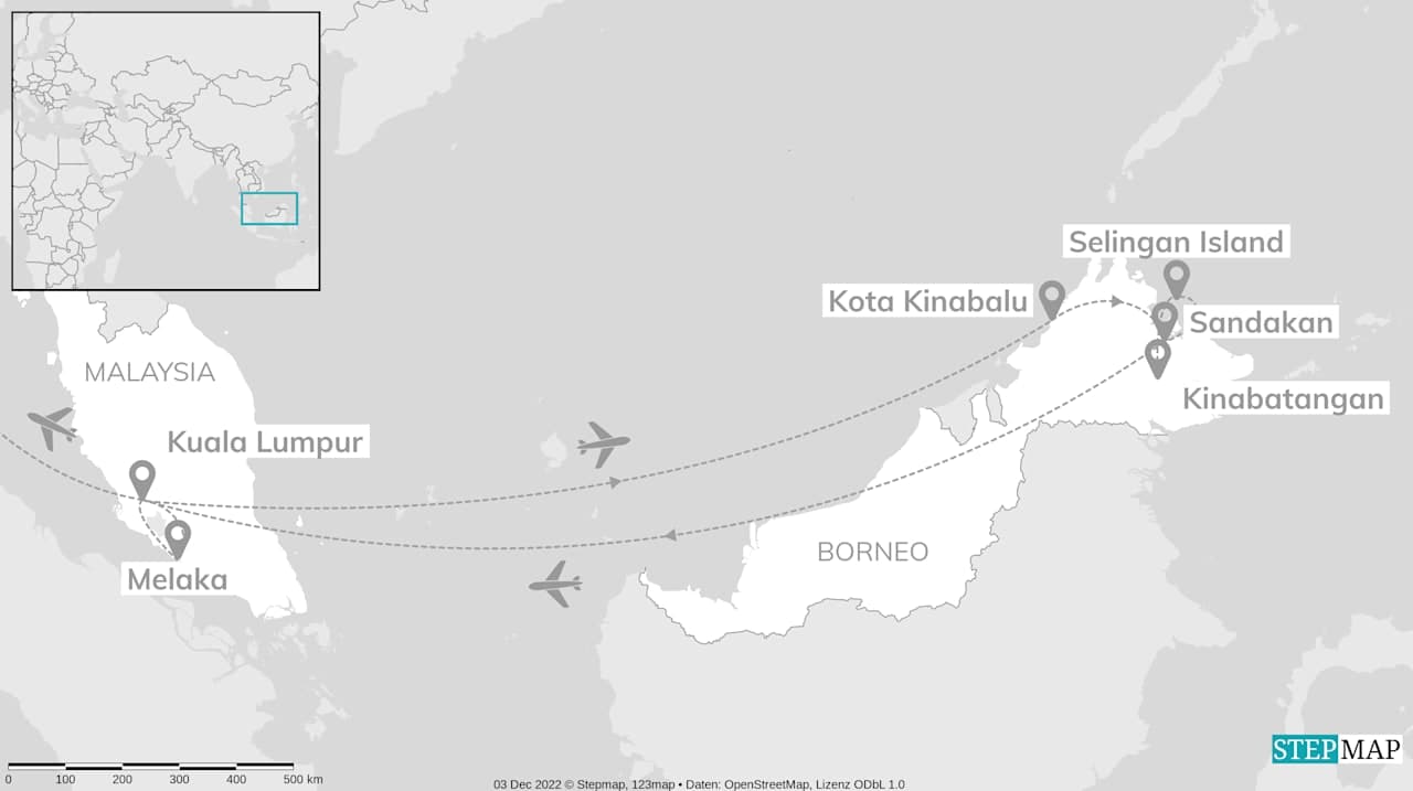 Malaysia adventure: Borneo's jungle secrets