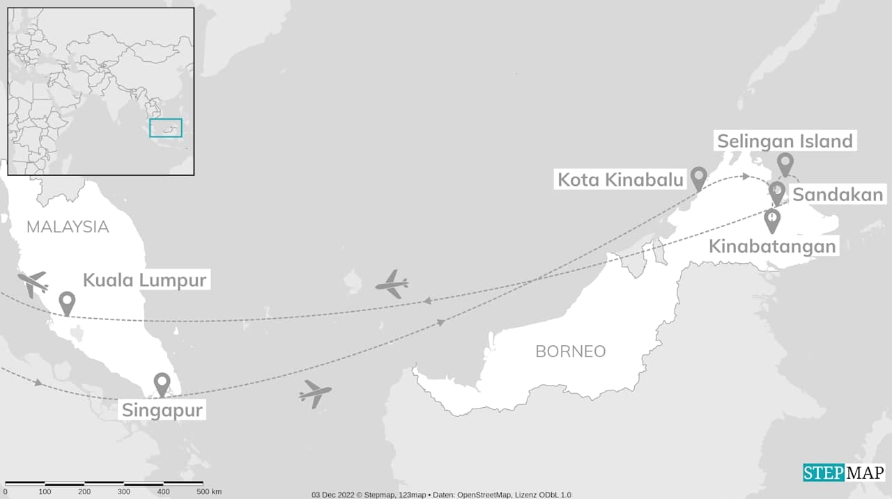 Malaysia & Singapur: Borneos Geheimnisse des Dschungels