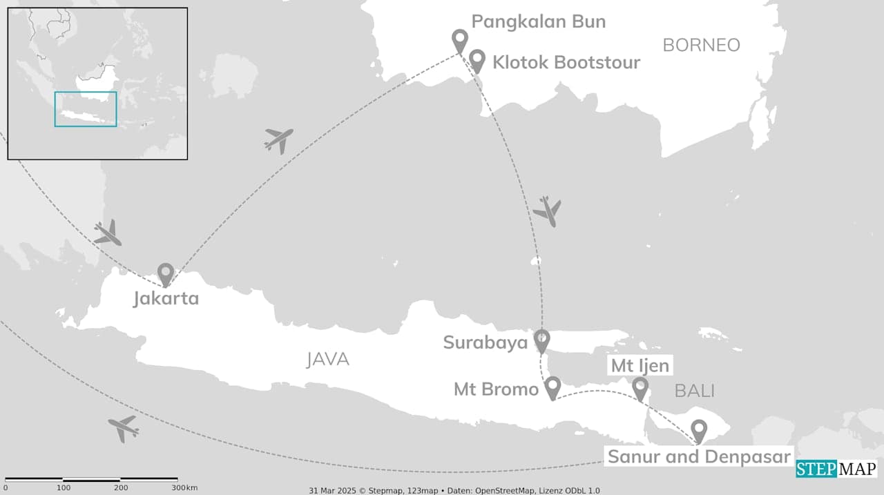 Indonesia Adventure: Orangutans and jungle paths