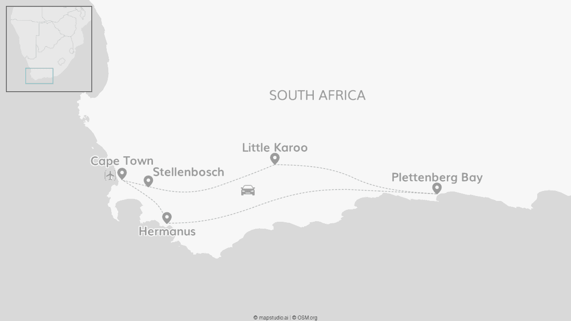 South Africa Signature: Glamping nights and safari wonders