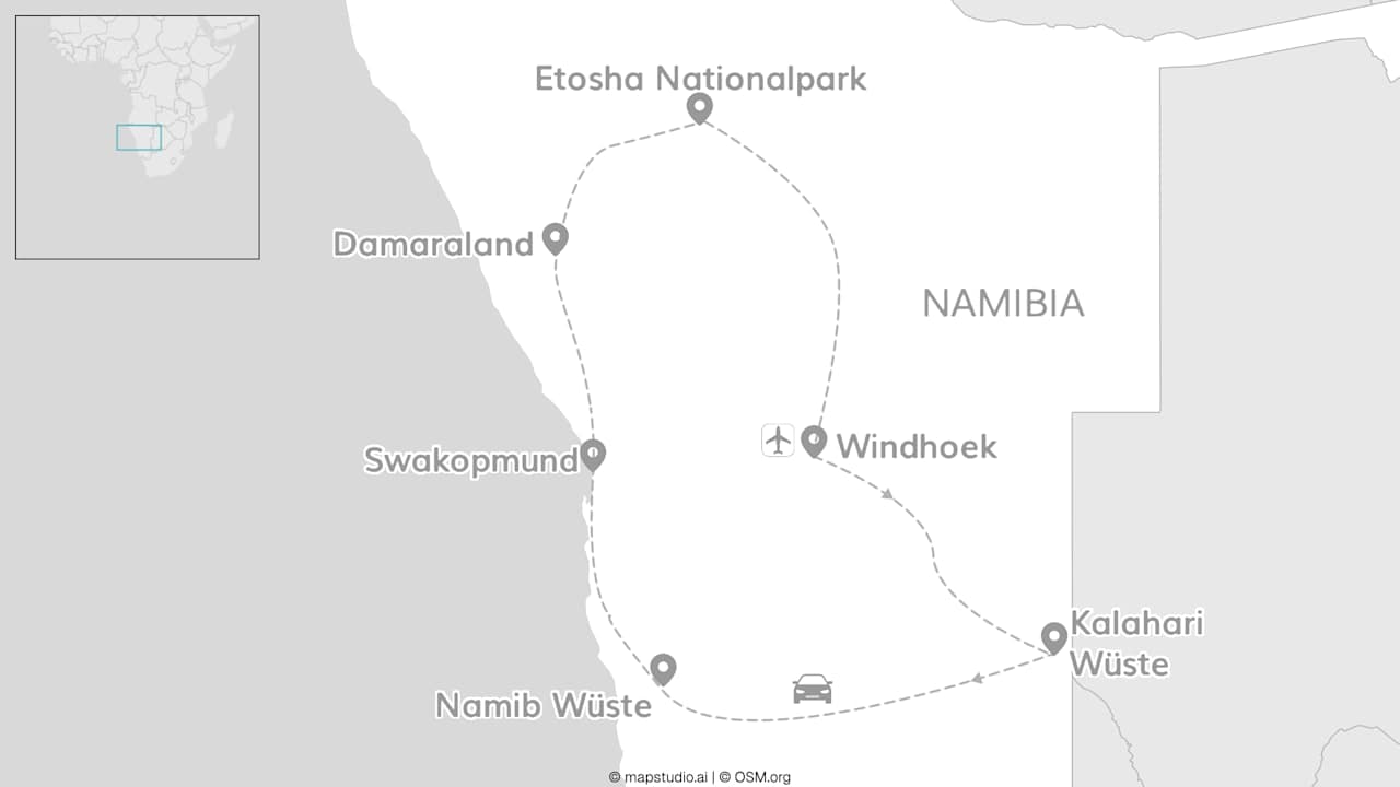 Namibia Roadtrip: Etosha Safari trifft Wüsten Vibes